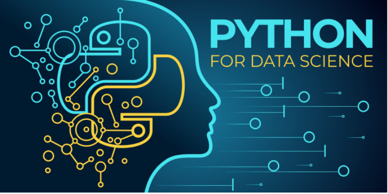 Python-Programming-Language-in-Data-Science.png